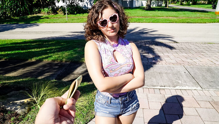 Steel's Payment Plan