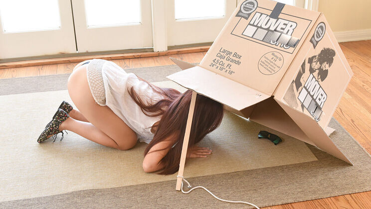 [ExxxtraSmall] - Tiny Teenage Thief Caught - Elle Voneva